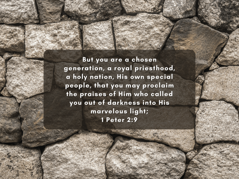 Our High Calling –&nbsp;P.1